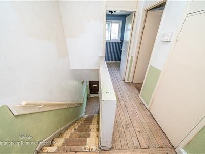 Picture 23